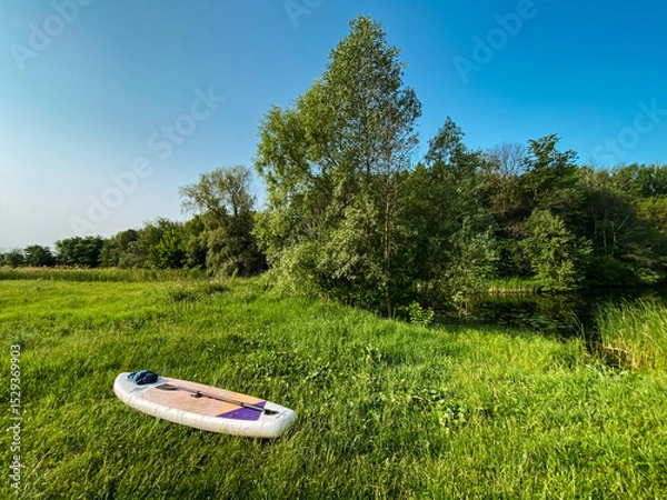 Obraz A brightly colored paddle board is gently resting in the lush, green grass, situated near a serene river that flows gracefully through the beautiful, natural landscape in the vicinity