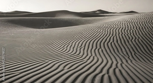 Obraz Exploring the Textured Sand Dunes Landscape in Monochrome Desert Scenery