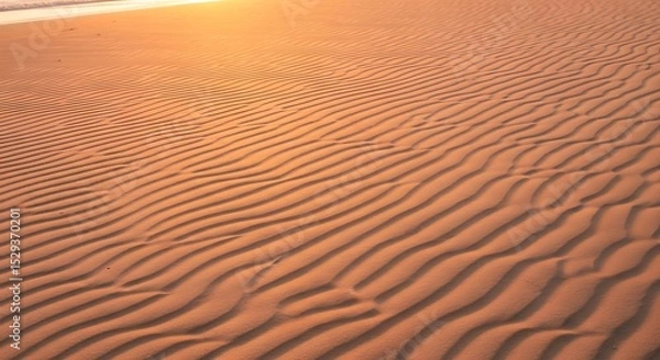 Obraz Desert Sand Dunes at Sunset with Textured Ripples and Warm Light