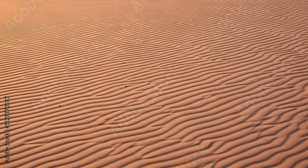 Obraz Sand Dune Landscape with Waves of Sand and Warm Desert Light