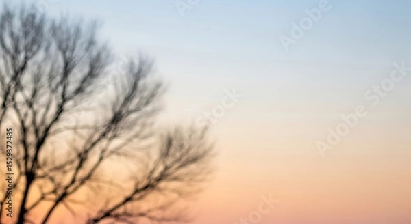 Obraz Bare Tree Silhouette Against a Soft Pastel Sunrise or Sunset Sky