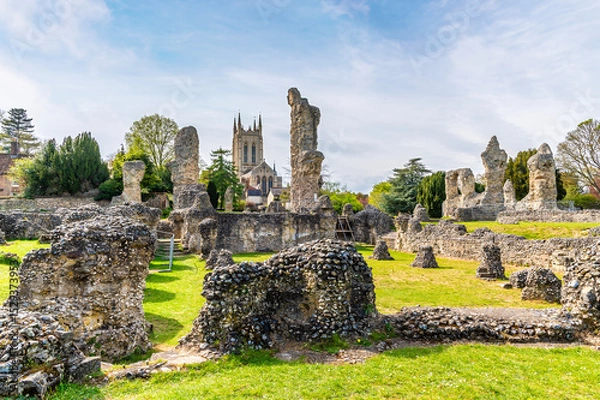 Fototapeta A view across the Abbey ruins in the Abbey Gardens at Bury Saint Edmunds on a bright day in springtime