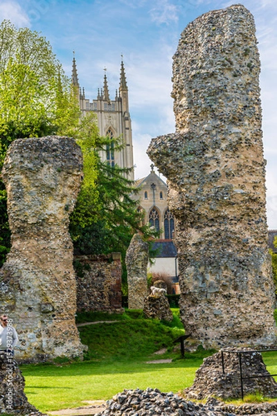 Fototapeta A view between the Abbey ruins in the Abbey Gardens at Bury Saint Edmunds on a bright day in springtime