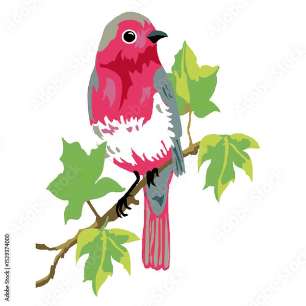 Fototapeta A Beautiful Bird Perched On A Branch With Green Leaves