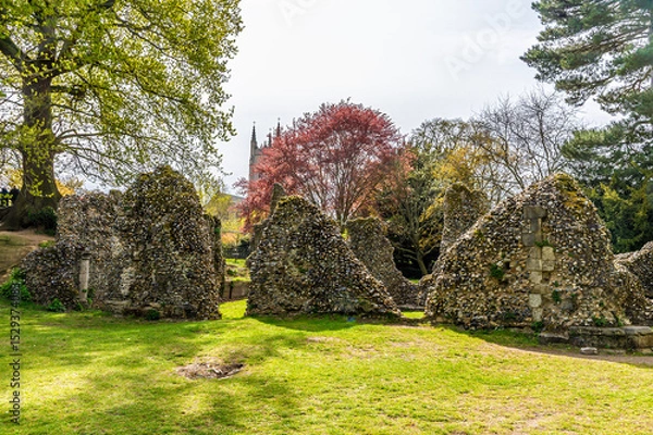 Fototapeta A view of abbey ruins in the Abbey gardens at Bury Saint Edmunds on a bright day in springtime