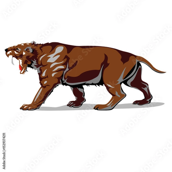 Fototapeta Ancient Predator Smilodon Fierce Saber Toothed Cat Walking Ready to Strike