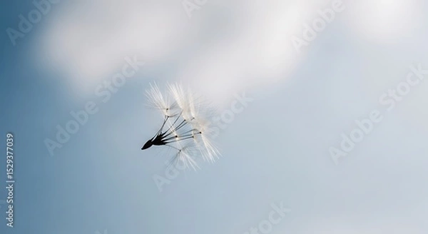 Obraz Dandelion Seed Head Drifting in Soft Blue Sky - Freedom Concept