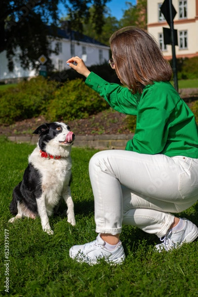 Fototapeta  A calm moment in Norway: a girl in glasses walks and gently hugs her dog amid greenery. Style, nature, and affection captured in one frame.