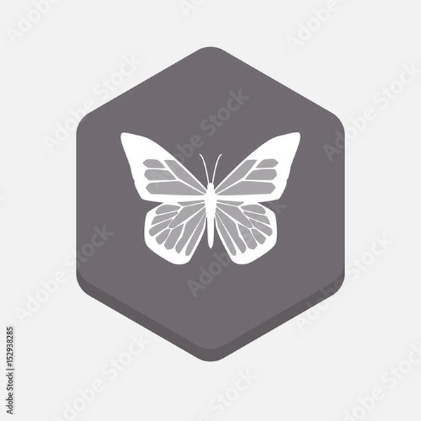 Fototapeta Isolated hexagonal signal with a butterfly