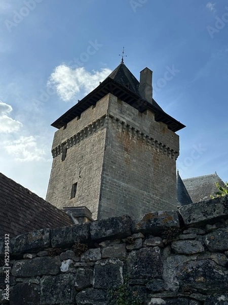 Fototapeta Tour du Château de Badefols-d'Ans