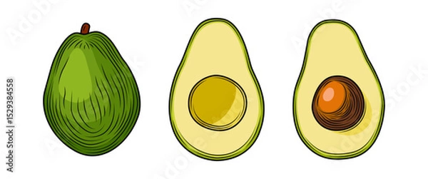 Obraz Set of colored whole and sliced ​​avocados with pit isolated on white background. Tropical summer fruit, vector hand drawn illustration. Detailed food drawing for label, poster, print.