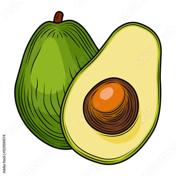 Obraz Composition of colored whole avocado and slice with pit isolated on white background. Tropical summer fruit vector hand drawn illustration. Detailed food drawing for label, poster, print.