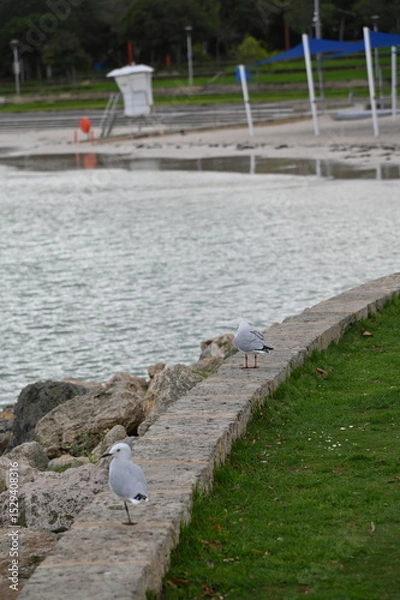 Fototapeta Hillarys, Australia – June 3, 2025: The Hillarys Boat Harbour of Perth CBD