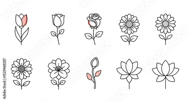Obraz Simple line drawings of flowers in various styles and shapes