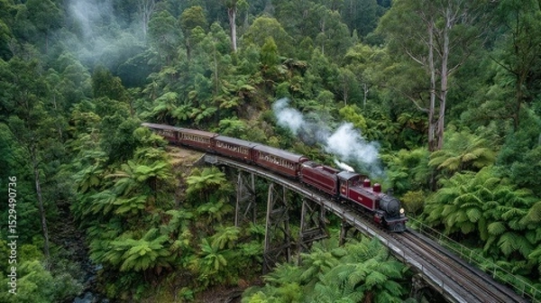 Fototapeta Scenic Train Journey Through Lush Rainforest