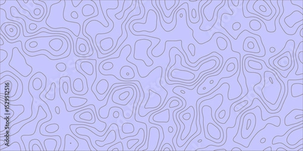 Fototapeta Abstract representation of a flowing topographic surface

