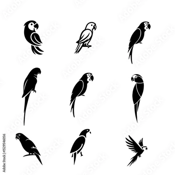 Fototapeta Parrot icon design vector image