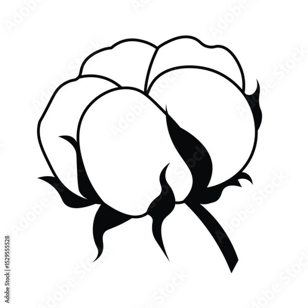 Obraz Vector illustration of a cotton flower