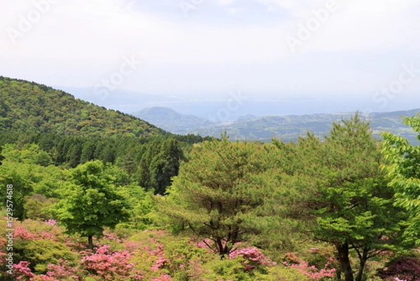 Fototapeta 公園の展望所からの眺め