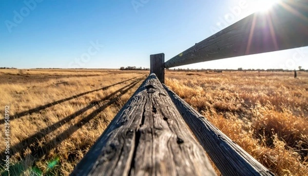 Obraz Sunlit fence stretches into vast golden field, under a clear blue sky