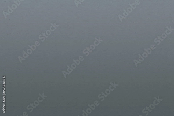 Fototapeta Abstract grey gradient background banner desktop	