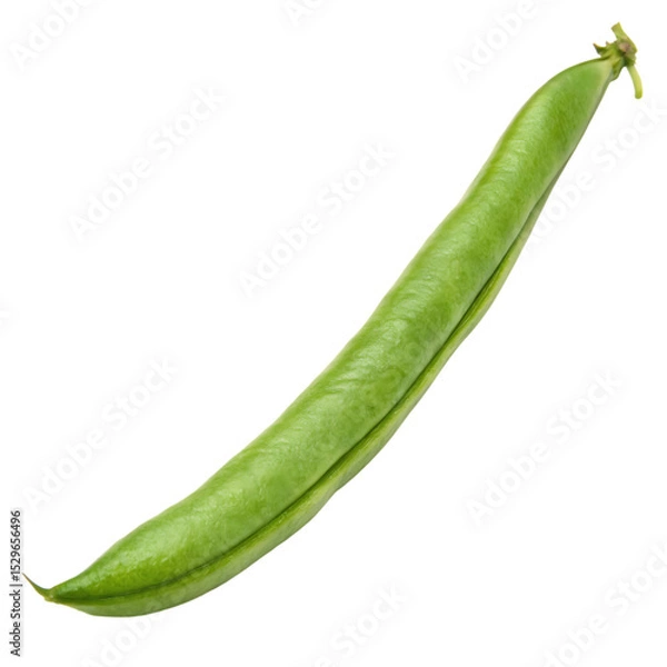 Fototapeta A green bean isolated on a transparent background