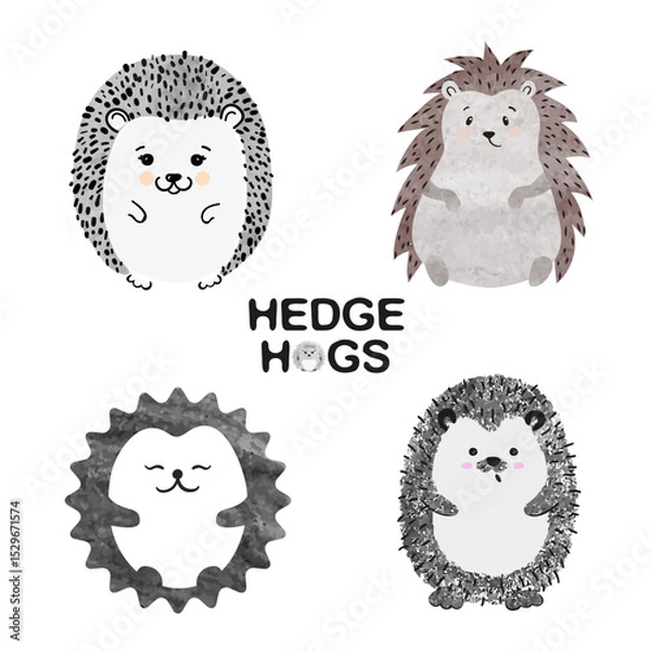Obraz Cute watercolor hedgehogs isolate on white. Vector set