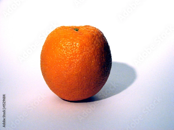 Obraz orange