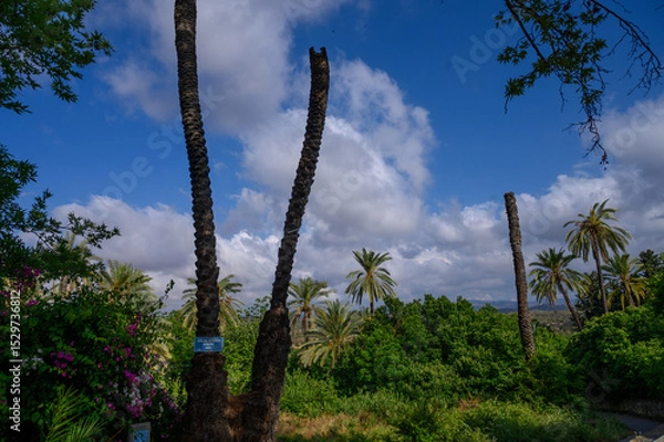 Obraz Mountain View from Green Street in Cyprus
