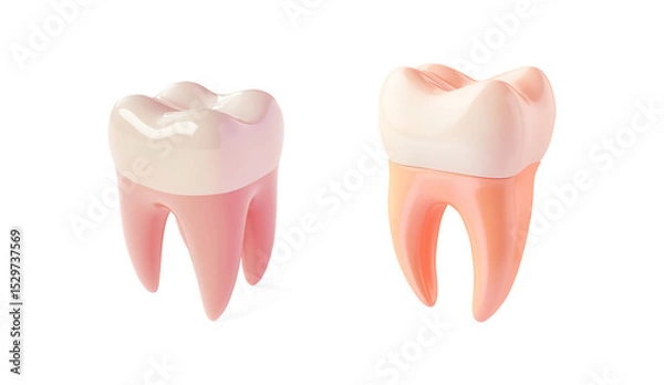 Obraz 3D Glossy Tooth Rendering on a Transparent Background