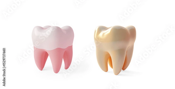 Obraz 3D Glossy Tooth Rendering on a Transparent Background