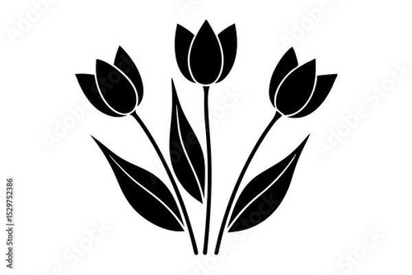 Fototapeta Tulip Buds and Leaves – Minimal Outline Vector Floral Set

