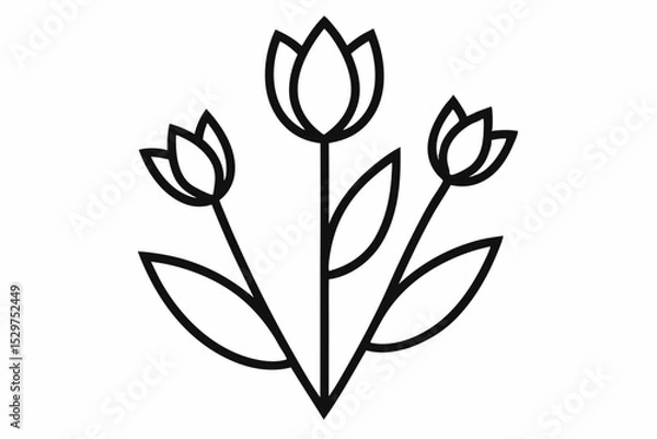 Fototapeta Tulip Buds and Leaves – Minimal Outline Vector Floral Set

