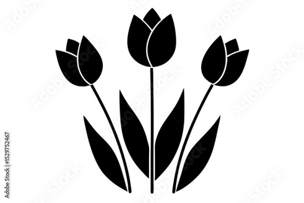 Fototapeta Tulip Buds and Leaves – Minimal Outline Vector Floral Set

