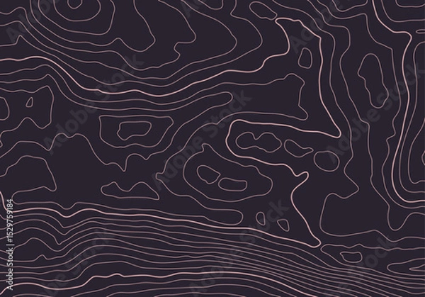 Fototapeta Topographic map background with altitude lines. Abstract terrain topography with elevation levels of the relief
