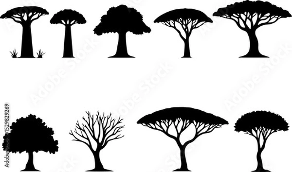 Fototapeta Tree  Vector Silhouettes  Bundle Collection