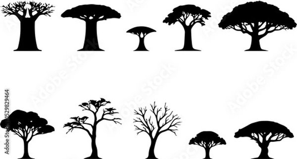 Fototapeta Tree  Vector Silhouettes  Bundle Collection