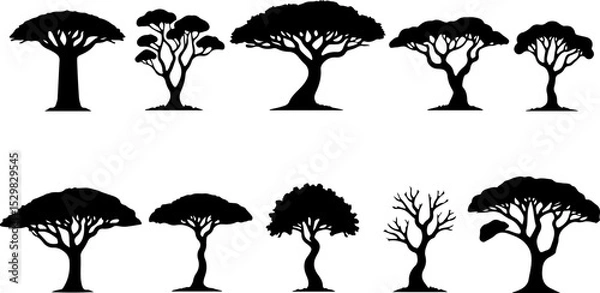 Fototapeta Tree  Vector Silhouettes  Bundle Collection
