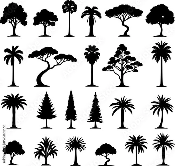 Fototapeta Tree  Vector Silhouettes  Bundle Collection