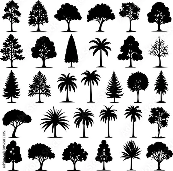 Fototapeta Tree  Vector Silhouettes  Bundle Collection