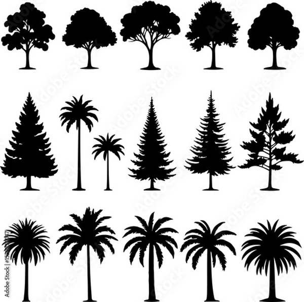 Fototapeta Tree  Vector Silhouettes  Bundle Collection
