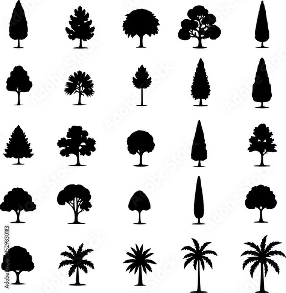 Fototapeta Tree  Vector Silhouettes  Bundle Collection