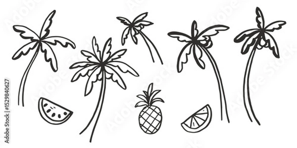 Fototapeta Set of doodle style palm trees and fruits in vector.
