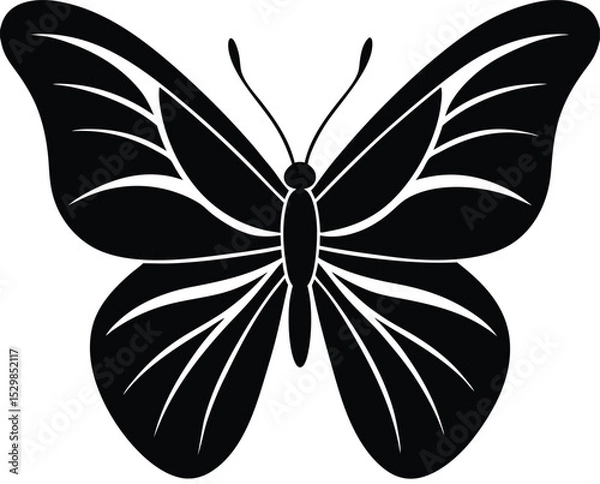 Obraz Butterfly Silhouette