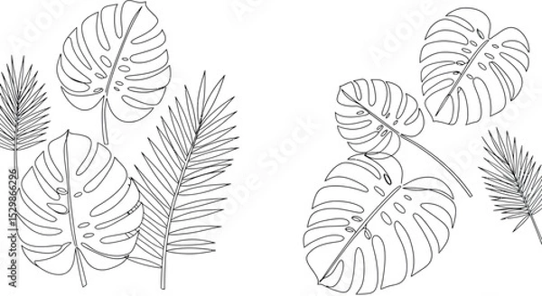 Fototapeta Monstera and palm leaf outline pattern on white background: tropical botanical design vector illustration