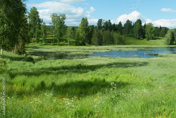 Fototapeta Wiese und See am Pilgerweg St. Olavsweg, Gudbrandsdalsleden bei der Pilgerherberge Risebru in der Nähe von Jessheim, Mogreina in Norwegen.