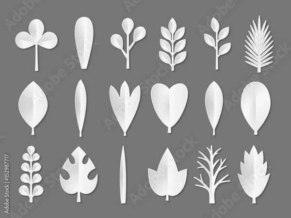 Fototapeta Set of white Paper Flower and tree leaves isolated on gray background. Vector eps 10 format.