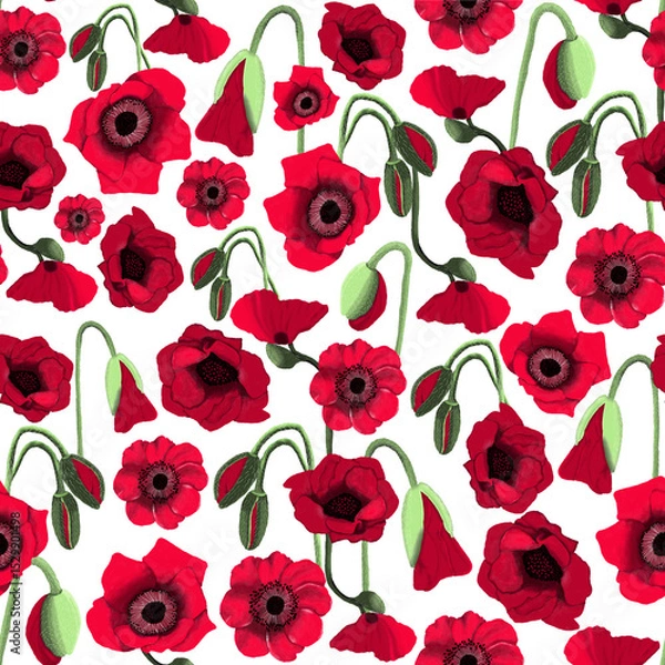 Obraz Red Poppy Floral Seamless Pattern on white Background