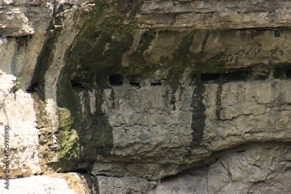 Obraz Snakes in the Rock Wall