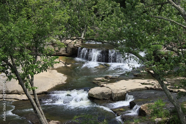 Obraz Upper Falls through the Trees